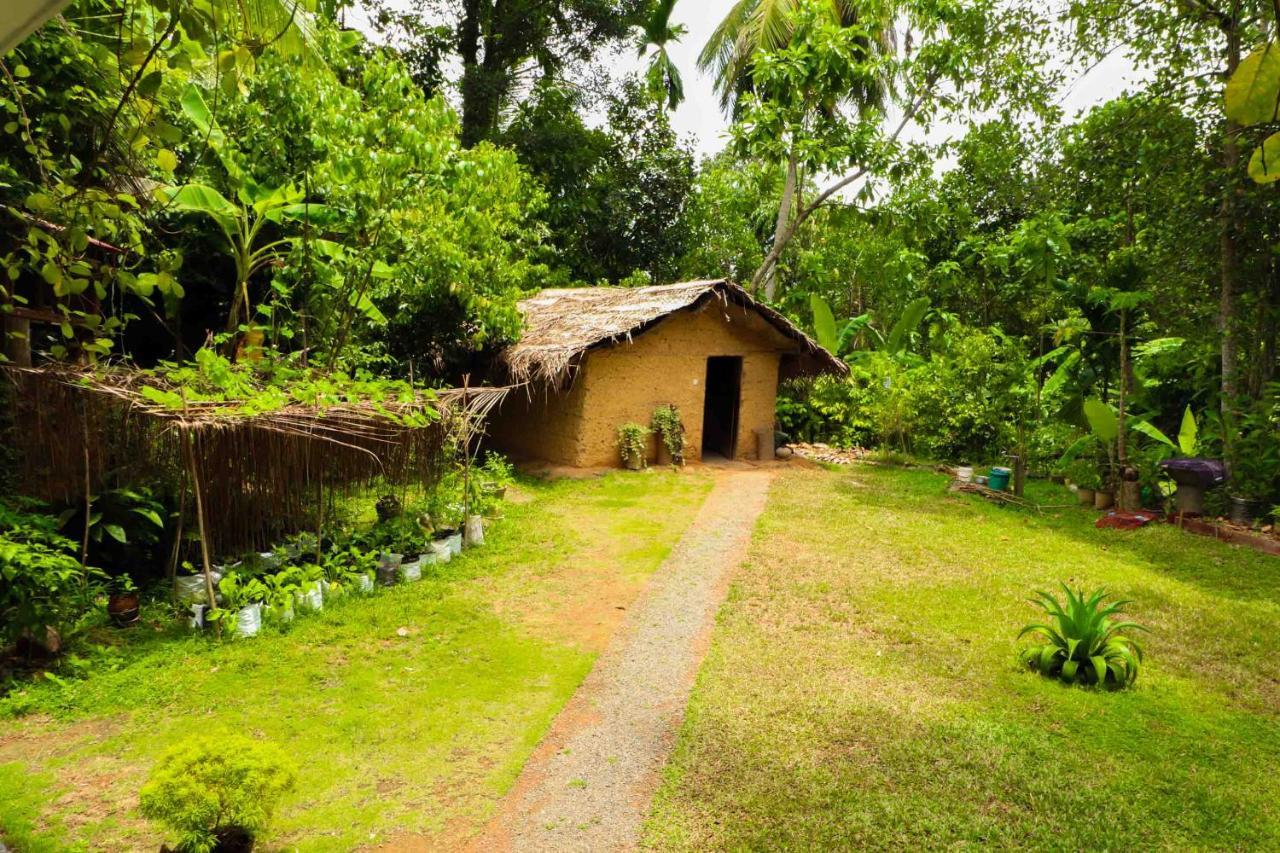 Pahalagawattha Homestay Habaraduwa Exterior photo